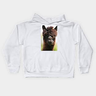 Alpaca Kids Hoodie